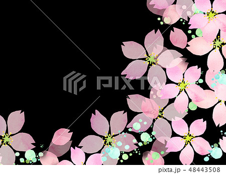 桜 水彩風 テクスチャー 桜 水彩風 テクスチャー 48443508