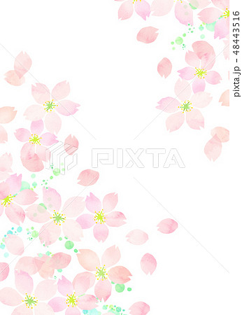 桜 水彩風 テクスチャー 桜 水彩風 テクスチャー 48443516