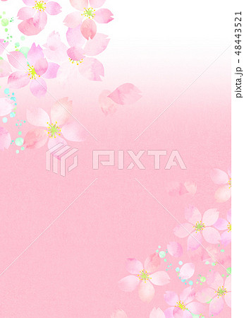 桜 水彩風 テクスチャー 桜 水彩風 テクスチャー 48443521