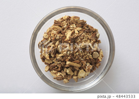 《ハーブ》 アンゼリカ 《ハーブ》 アンゼリカ 48443533