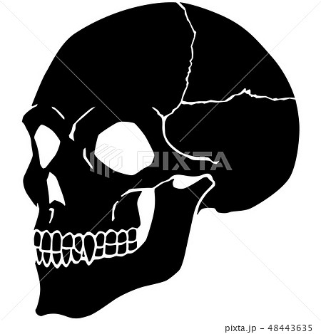 Skull 斜めのイラスト素材