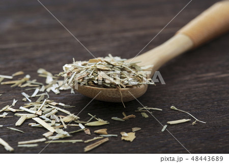 《ハーブ》　オート 48443689