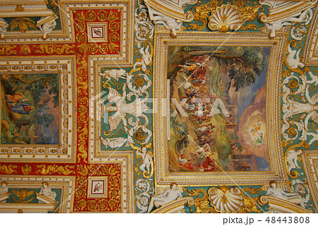 Ceiling in Vatican museum, Vatican city, Italy. 48443808
