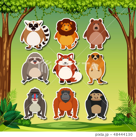 set of animal sticker packs 48444130