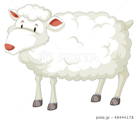 A white sheep character 48444178