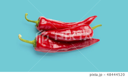 Red chili pepper isolated 48444520