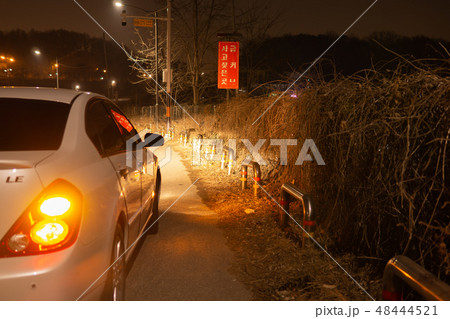 夜 次 茶 48444521