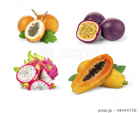 tropical fruit isolated 48444756