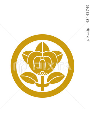 武将家紋金井伊直政 48445749