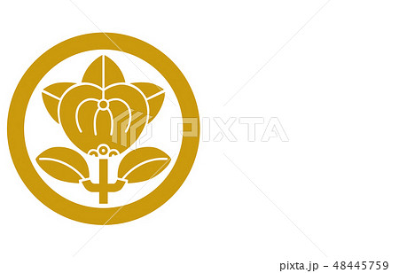 武将家紋金井伊直政 武将家紋金井伊直政 48445759