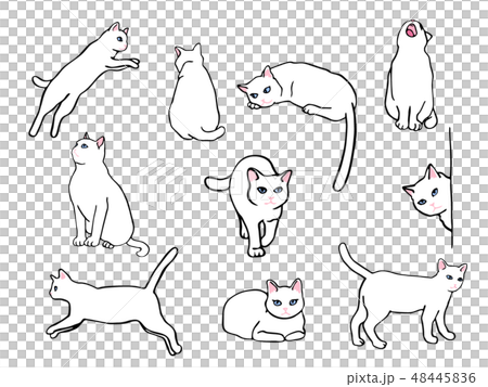 Cat icons set in thin line style - Stock Illustration [62367833] - PIXTA