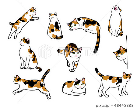 画像をダウンロード かわいい 猫 イラスト 横向き シモネタ