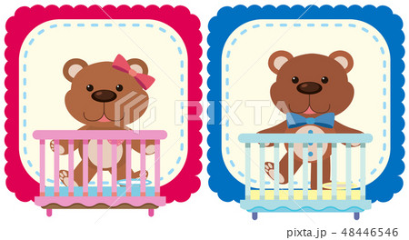 Teddy bears in pink and blue 48446546