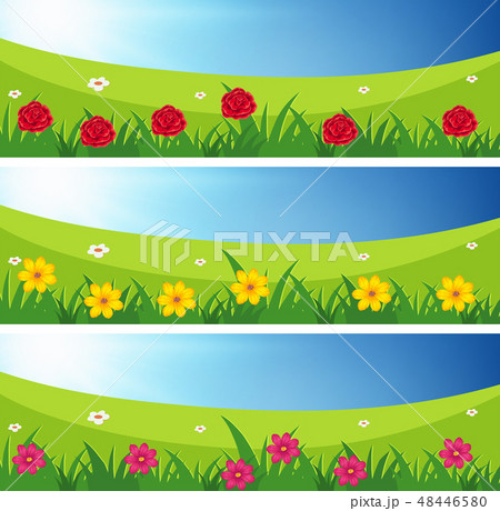 Three scenes of fields with flowers 48446580