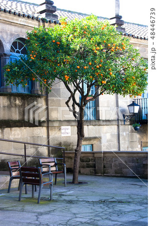 Territory of unique architectural complex Poble Es 48446739