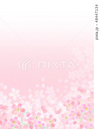 桜　水彩風　テクスチャー 48447134