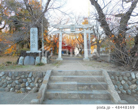 本庄城跡 本庄城跡 48448169