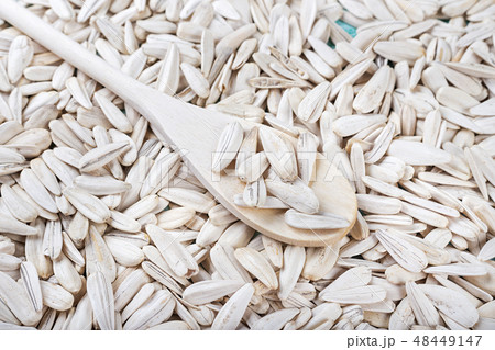 white sunflower seeds 48449147