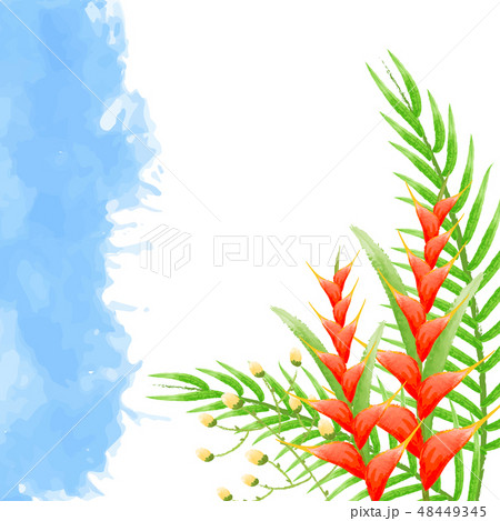 Watercolor background  bird of paradise flowers 48449345