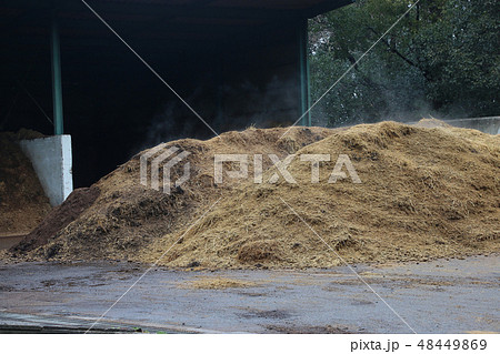 冬の土作り 48449869