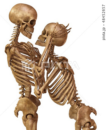 Skeletons of man and woman in the pose of... - Stock Illustration  [48452657] - PIXTA