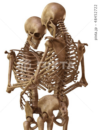 Skeletons of man and woman in the pose of lovers. Isolated on white background 3d illustration Skeletons of man and woman in the pose of lovers. Isolated on white background 3d illustration 48452722