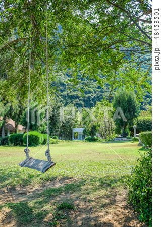 Image of wooden swing under the tree in the garden 48453501