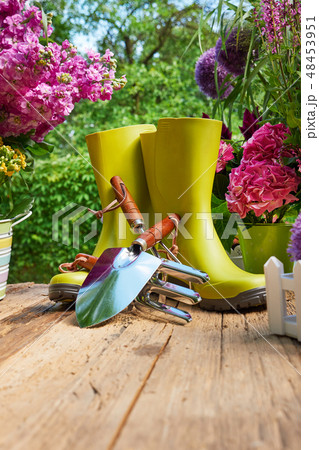 Gardening tools and flowers on the terrace Gardening tools and flowers on the terrace 48453951