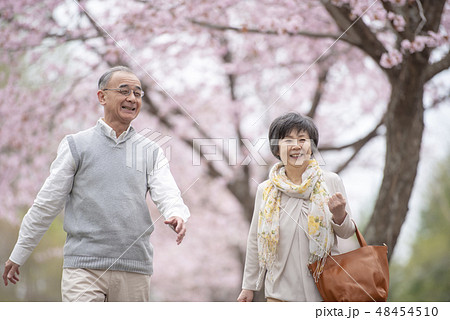 桜の中を歩くシニア夫婦 桜の中を歩くシニア夫婦 48454510