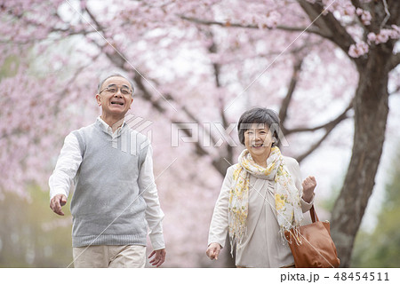 桜の中を歩くシニア夫婦 桜の中を歩くシニア夫婦 48454511