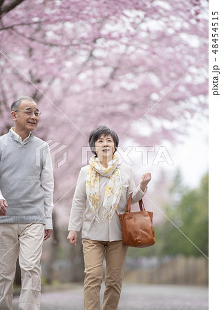 桜の中を歩くシニア夫婦 桜の中を歩くシニア夫婦 48454515