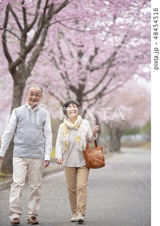 桜の中を歩くシニア夫婦 48454516