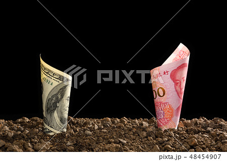 China Yuan banknote and US dollar banknote  48454907