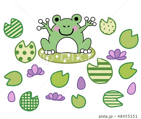 かえると蓮池 48455151