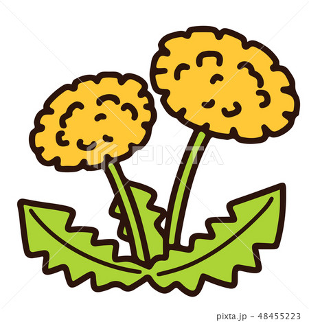 シンプルで可愛い黄色いタンポポのイラスト 主線ありのイラスト素材