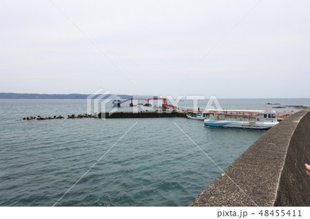 串本海中公園の海中展望塔と半潜水型海中観光船 串本海中公園の海中展望塔と半潜水型海中観光船 48455411