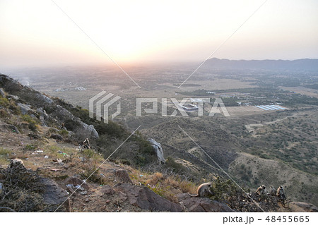 インドのラジャスタン州のプシュカル　山寺に集まるハマヌーン・ラングールの群れと美しい夕日 48455665