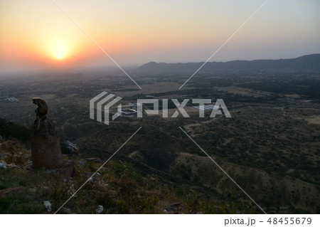 インドのラジャスタン州のプシュカル　山寺に集まるハマヌーン・ラングールの群れと美しい夕日 48455679