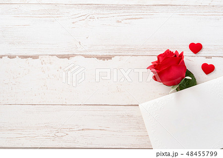 薔薇 バラ科 バラ 48455799