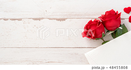 薔薇 バラ科 バラ 48455808