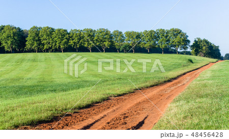 Grass Hillside Trees Dirt Road Summer Landscape 48456428