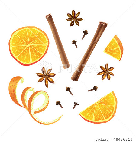 Set of orange, star anise, cloves and cinnamon 48456519