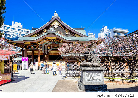 東京　湯島天神 48457513