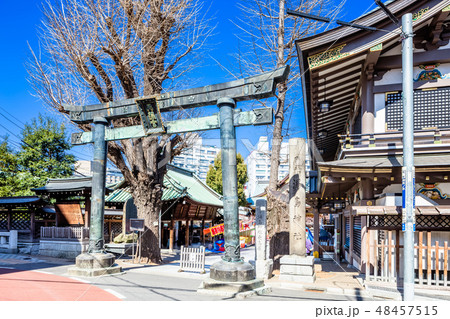 東京　湯島天神 48457515