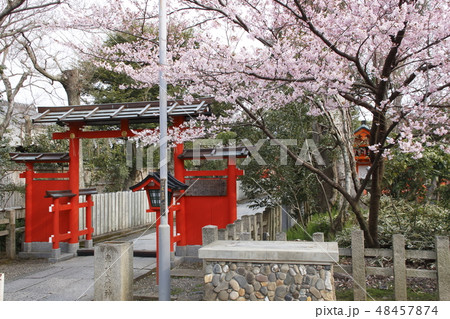 京都 車折神社にて 京都 車折神社にて 48457874
