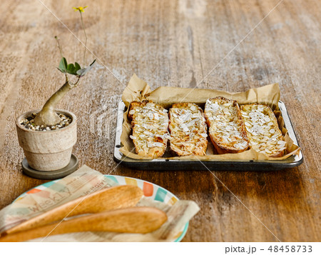 パンペルデュ 48458733