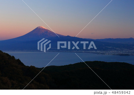 世界遺産　富士山　伊豆市　達磨山　秋 48459342