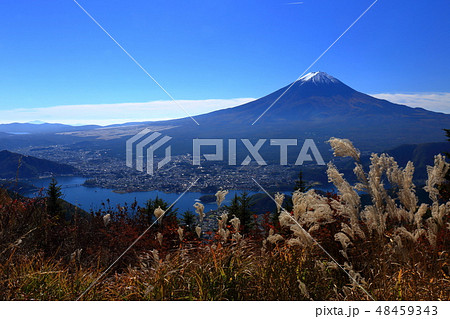 世界遺産　富士山　新道峠　秋 48459343