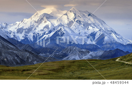 Mount McKinley - Denali National Park - Alaska 48459344