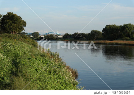 多摩川からの風景 多摩川からの風景 48459634